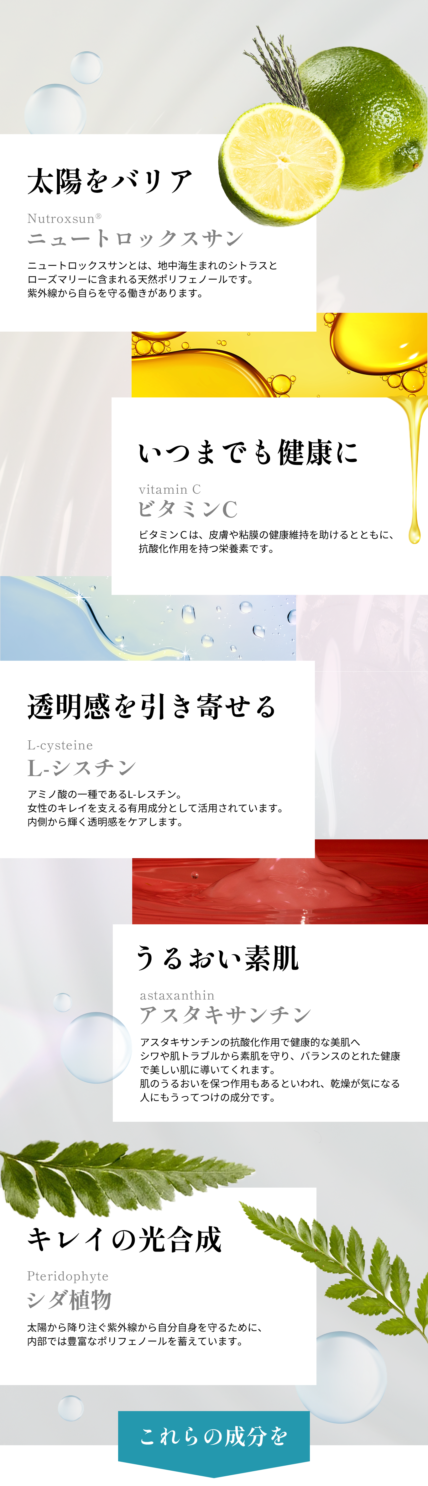 “太陽をバリア” ニュートロックスサ (Nutroxsun®)  ニュートロックスサンとは、地中海生まれのシトラスとローズマリーに含まれる天然ポリフェノールです。
        紫外線から自らを守る働きがあります。” いつまでも健康に” ビタミンC (vitamin C) ビタミンＣは、皮膚や粘膜の健康維持を助けるとともに、
        抗酸化作用を持つ栄養素です。 “透明感を引き寄せる” L-シスチン (L-cysteine) アミノ酸の一種であるL-レスチン。
        女性のキレイを支える有用成分として活用されています。
        内側から輝く透明感をケアします。 “うるおい素肌” アスタキサンチン (astaxanthin) アスタキサンチンの抗酸化作用で健康的な美肌へ
        シワや肌トラブルから素肌を守り、バランスのとれた健康
        で美しい肌に導いてくれます。
        肌のうるおいを保つ作用もあるといわれ、乾燥が気になる
        人にもうってつけの成分です。
        “キレイの光合成” シダ植物 (Pteridophyte) 太陽から降り注ぐ紫外線から自分自身を守るために、内部では豊富なポリフェノールを蓄えています。 これらの成分を